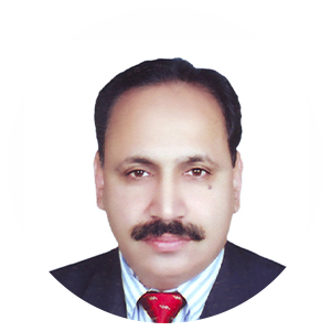 Vizier